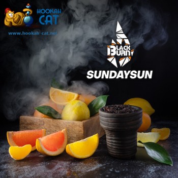 Табак для кальяна BlackBurn SundaySun (БлэкБерн Цитрусовый Микс) 100г - фото 1